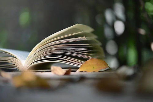 新鄉市新華書店文學類圖書周榜 文藝創作類熱銷精選