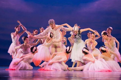 大年初一重磅開票 | 舞劇《朱鹮》杭州站唯美鉅獻，一場東方美學的詩意巡禮